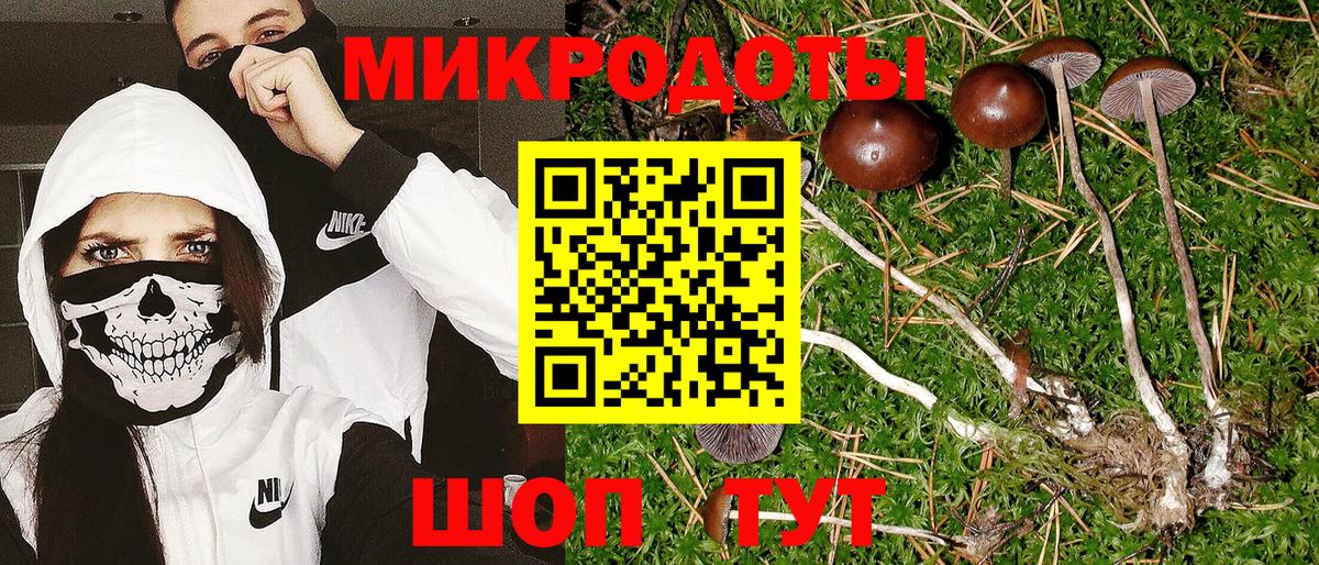 Псилоцибиновые грибы ЛСД Троицк