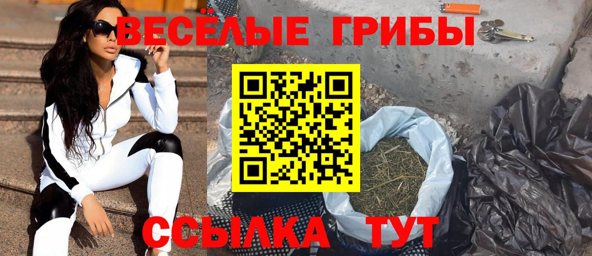 Галлюциногенные грибы MAGIC MUSHROOMS  Вход с VPN  как найти   Псилоцибиновые грибы прущие грибы  Троицк 